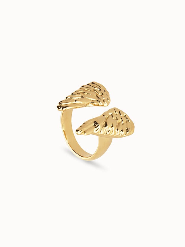 Anillos